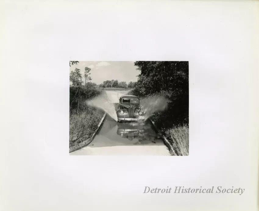 Print, Photographic