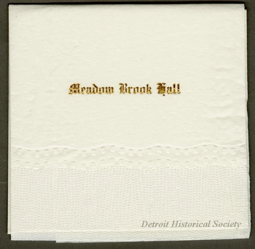 Napkin