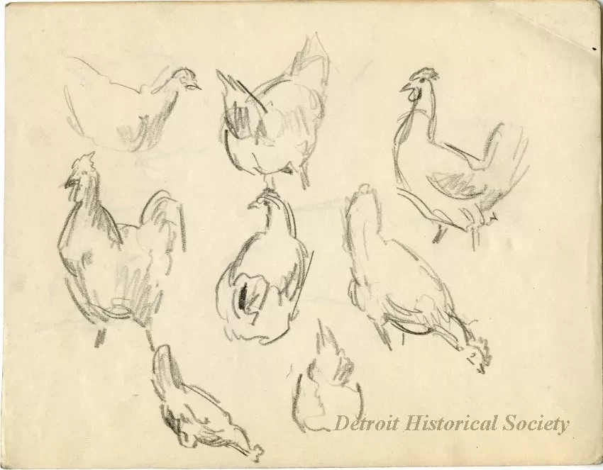 Drawing