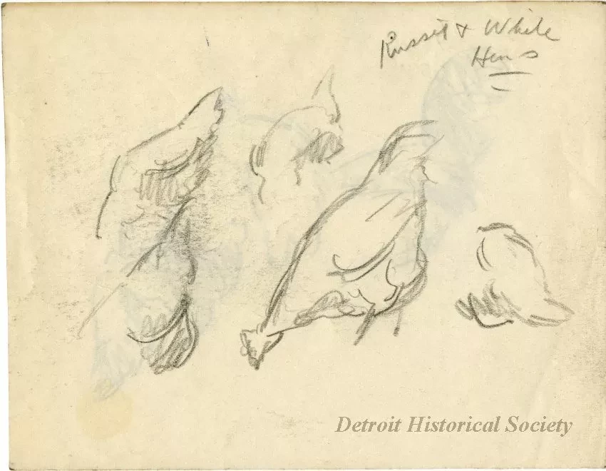 Drawing
