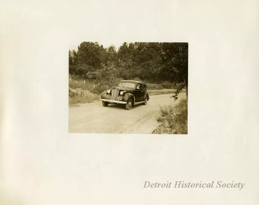 Print, Photographic