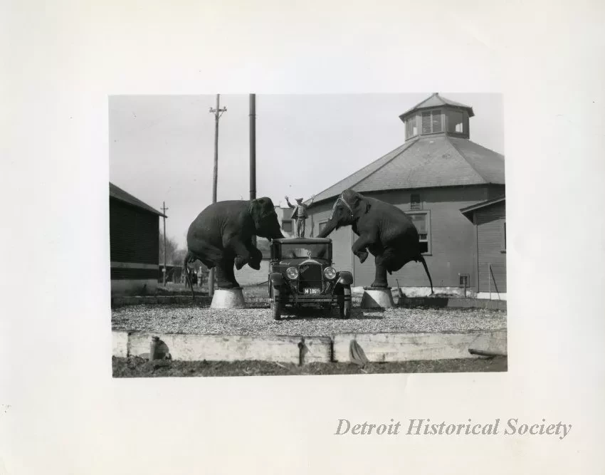 Print, Photographic