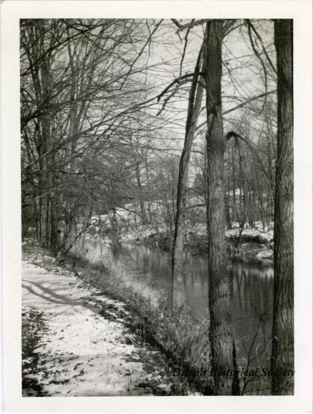 Print, Photographic