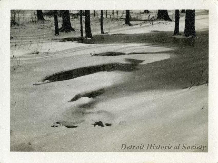 Print, Photographic