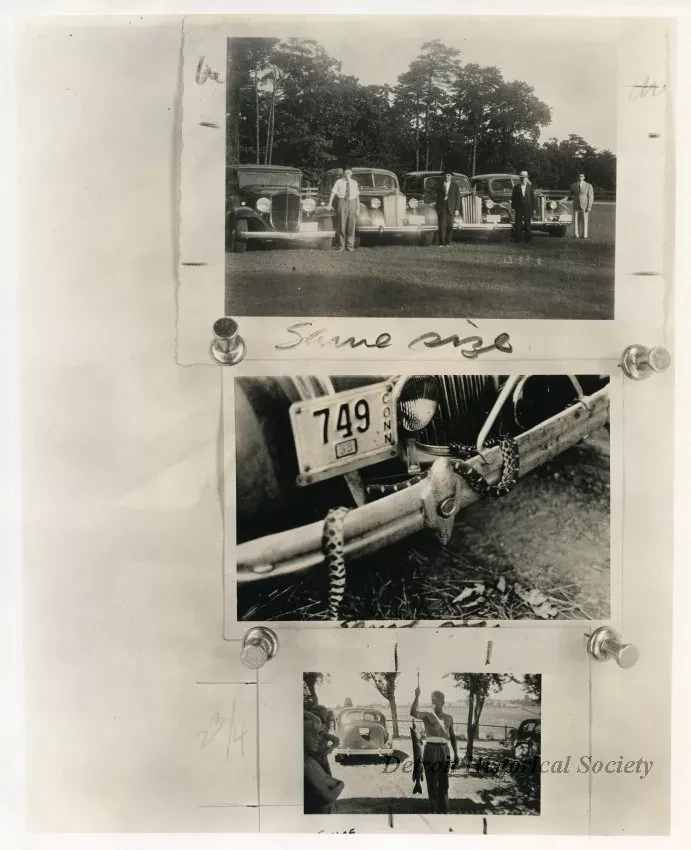 Print, Photographic