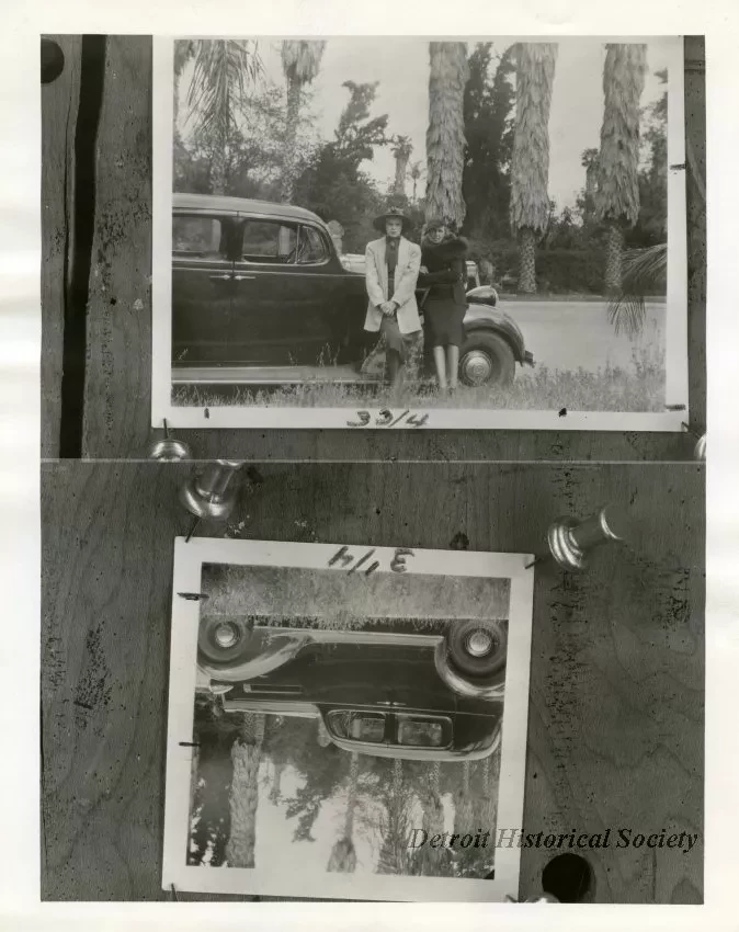 Print, Photographic