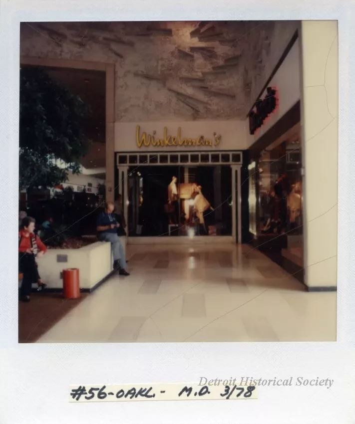 Print, Photographic