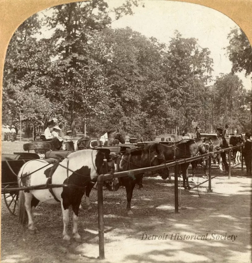 Stereograph