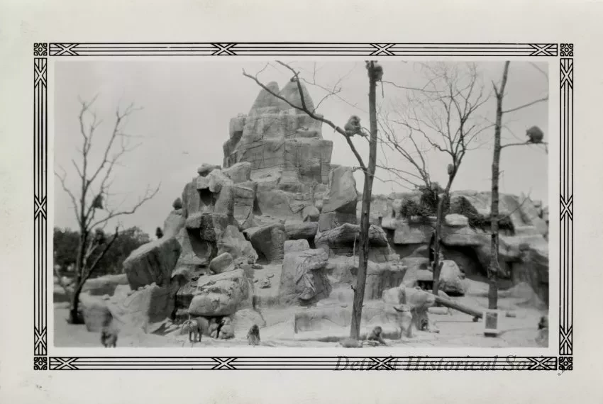 Print, Photographic
