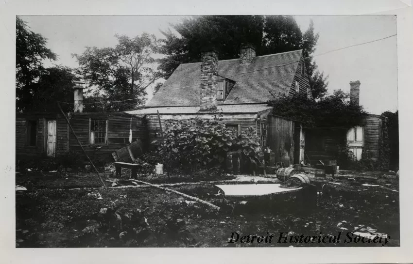Print, Photographic