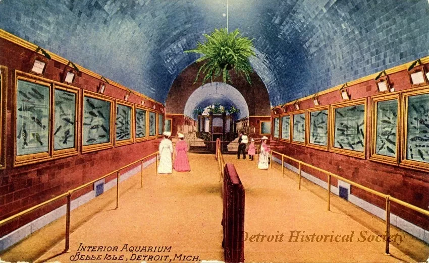 Postcard - Interior Aquarium, Belle Isle, Detroit, Mich.