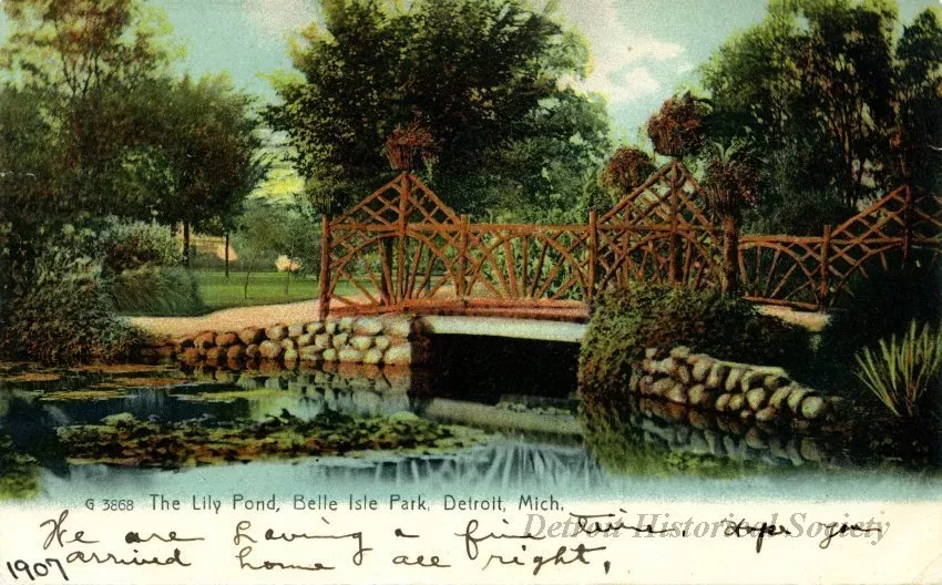 Postcard - G 3868 The Lily Pond, Belle Isle Park, Detroit, Mich.