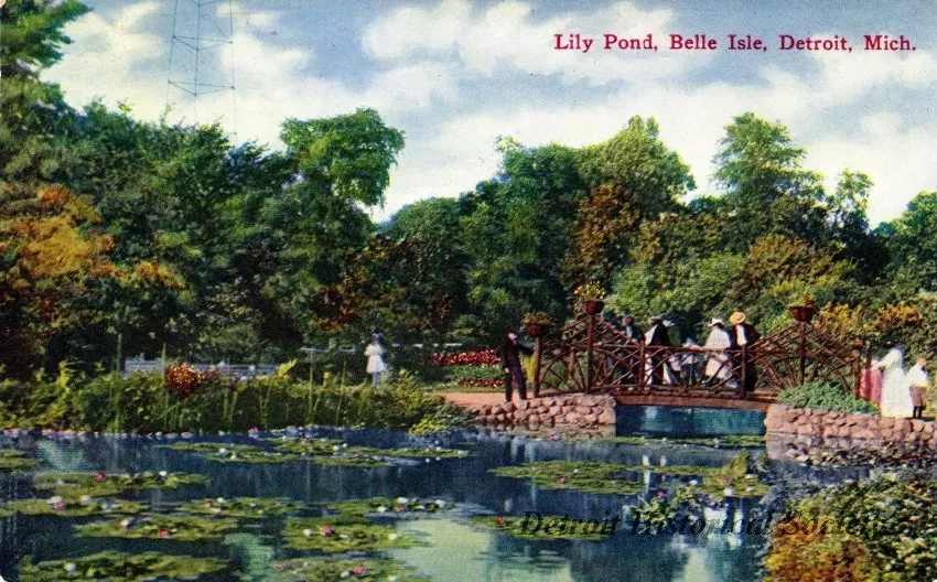 Postcard - Lily Pond, Belle Isle, Detroit, Mich.