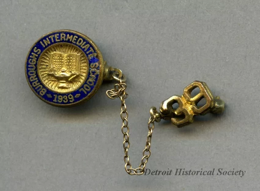 Pin, Lapel
