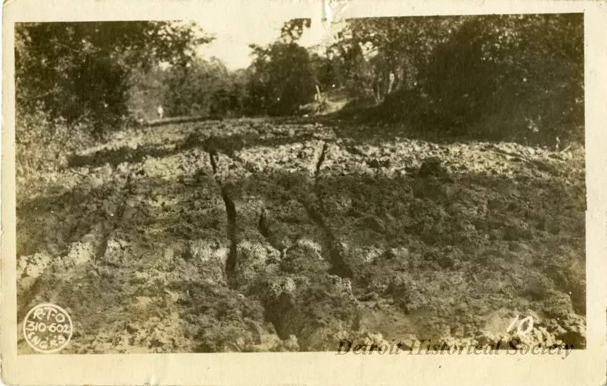 Postcard, Picture