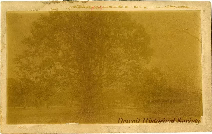 Photograph, Cabinet