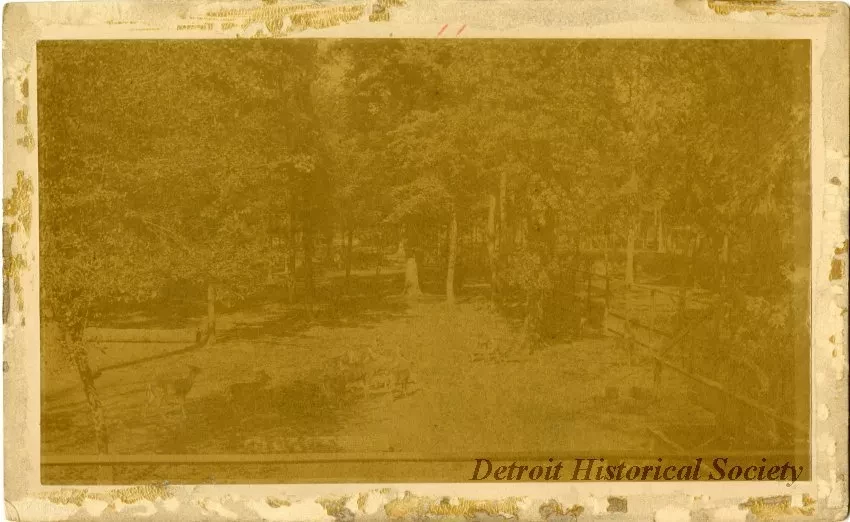 Photograph, Cabinet