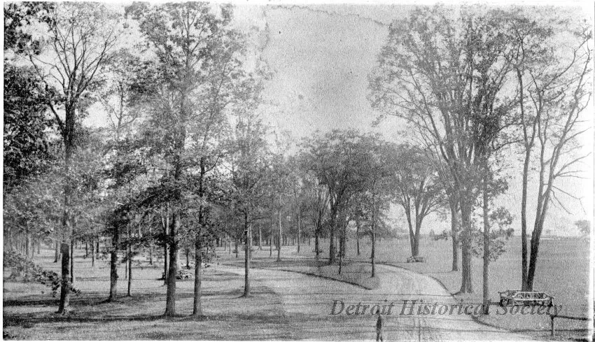 Photograph, Cabinet