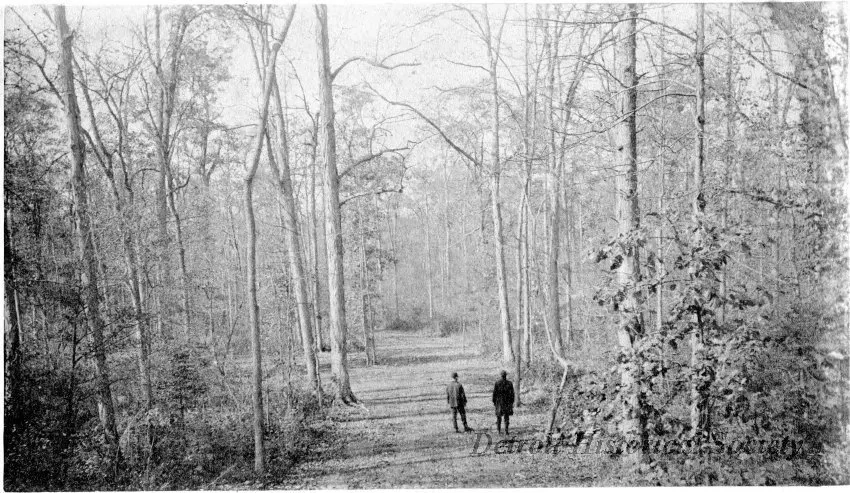 Photograph, Cabinet