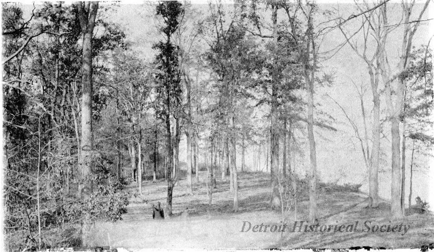 Photograph, Cabinet