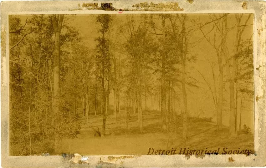 Photograph, Cabinet