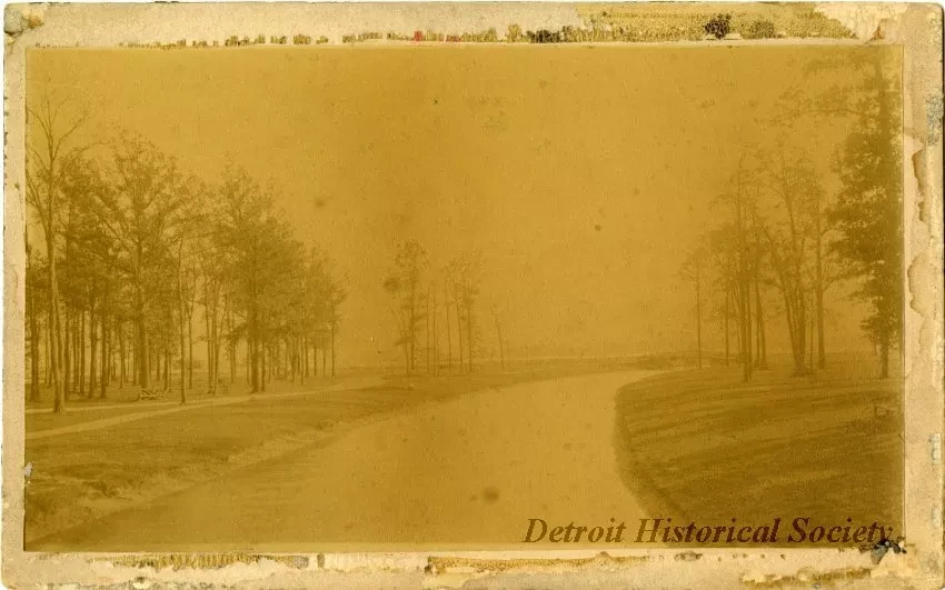 Photograph, Cabinet
