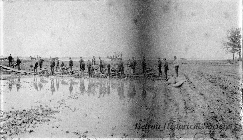 Photograph, Cabinet