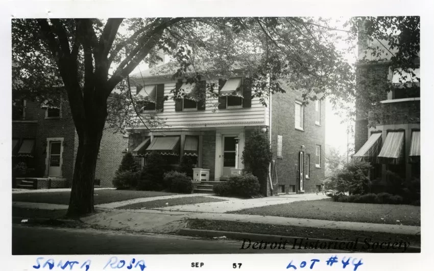 Print, Photographic