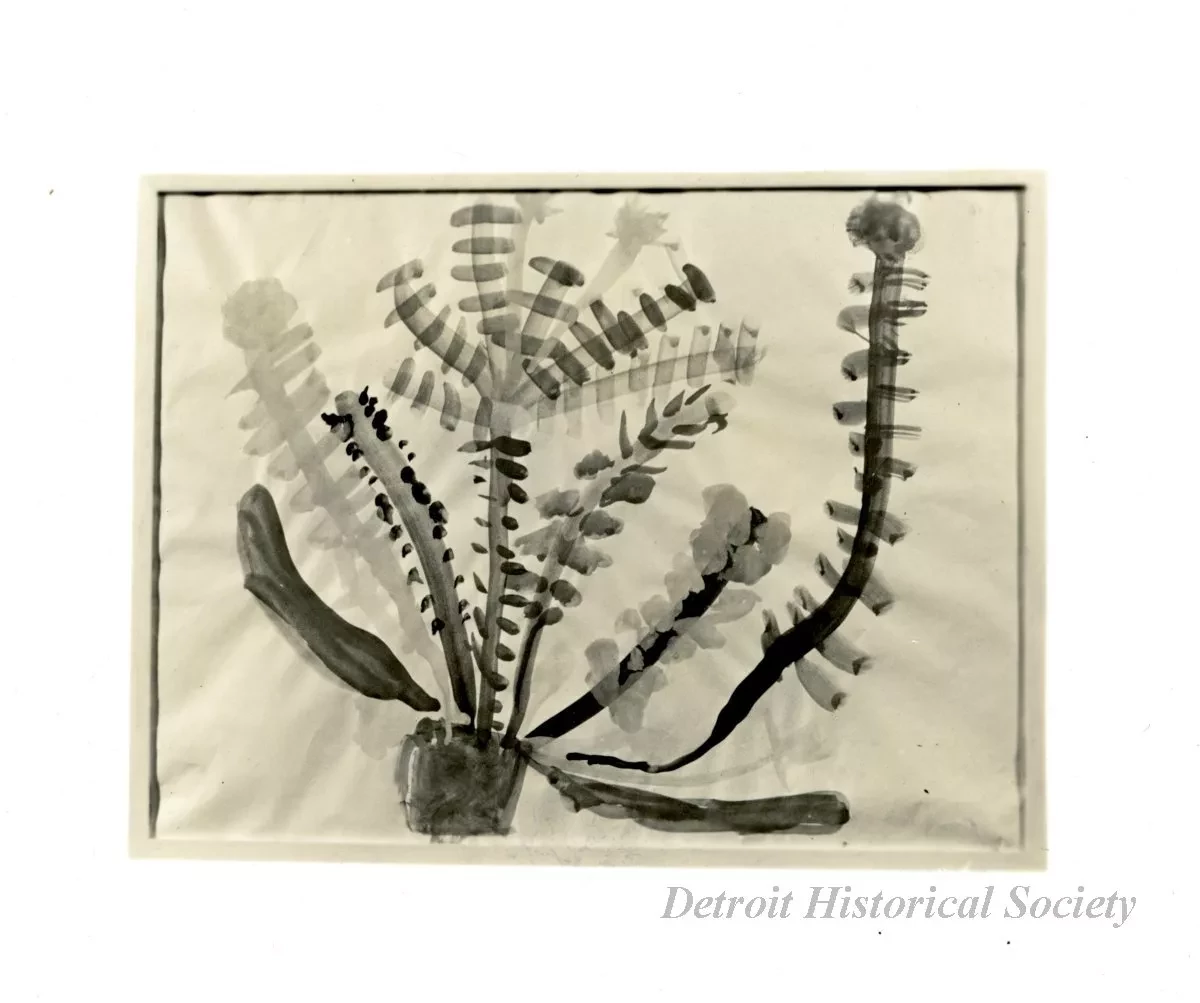 Print, Photographic