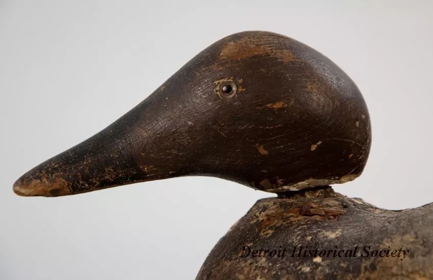 Decoy