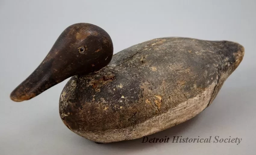 Decoy