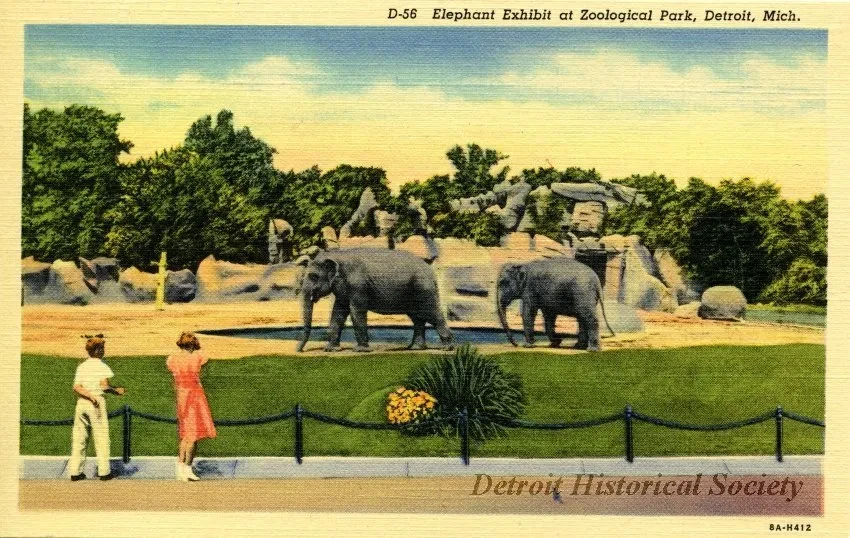 Postcard - D-56 Elephant Exhibit at Zoological Park, Detroit, Mich.