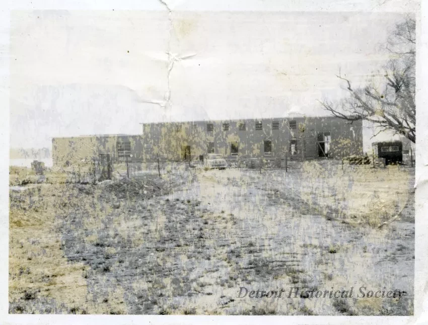 Print, Photographic