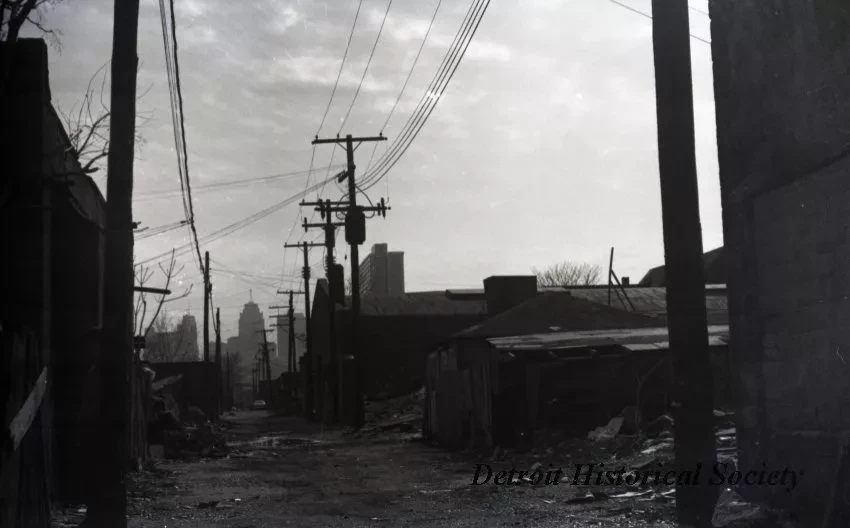 Negative, Roll Film