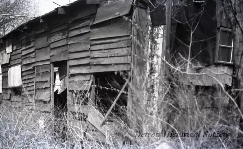 Negative, Roll Film