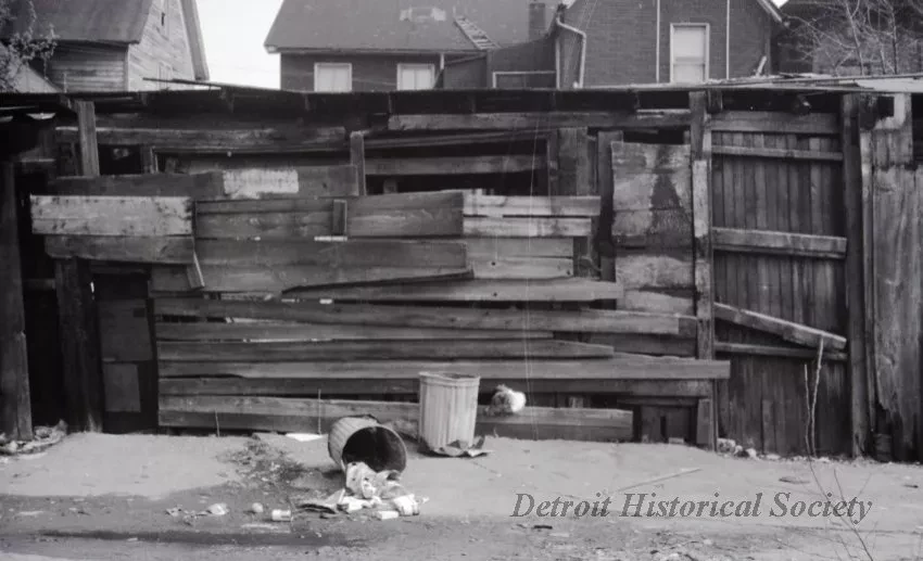 Negative, Roll Film