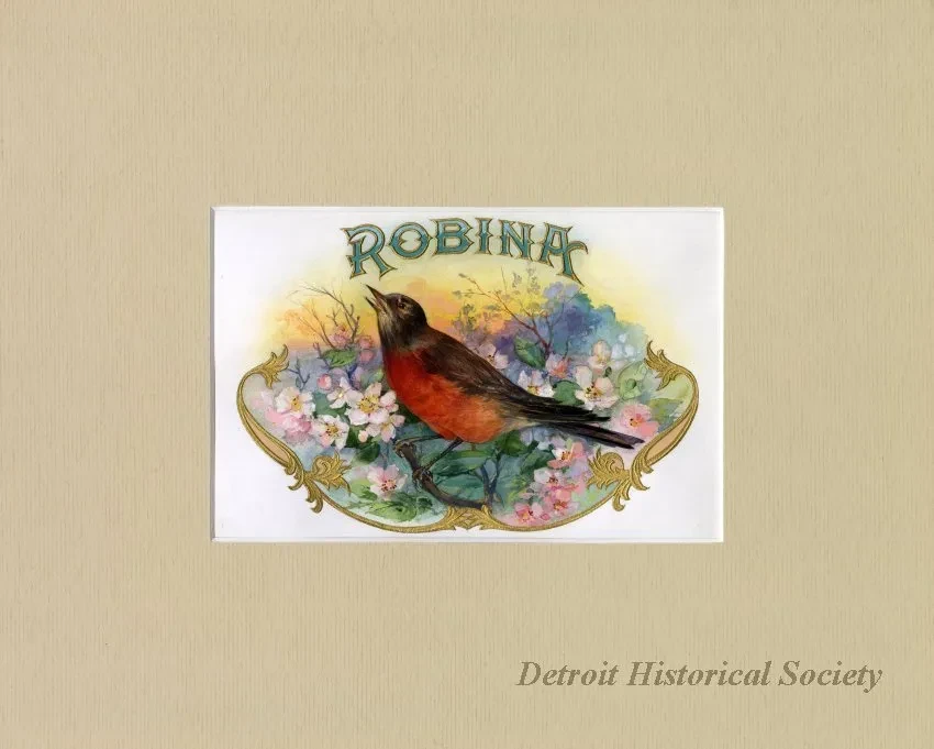 Drawing - Robina