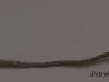 Block and Tackle