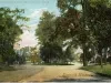 Postcard - Western Grand Boulevard, Detroit, Mich.