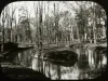 Transparency, Lantern-slide - November, Detroit - Bell Isle