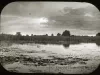 Transparency, Lantern-slide - Lily Pads River Rouge near Dix Rd