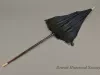 Parasol
