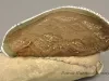 Moccasin