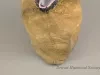 Moccasin