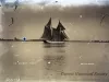 Negative, Glass-plate