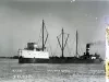 Negative, Glass-plate