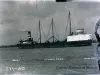Negative, Glass-plate