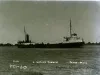 Negative, Glass-plate