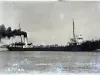 Negative, Glass-plate