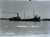 Negative, Glass-plate